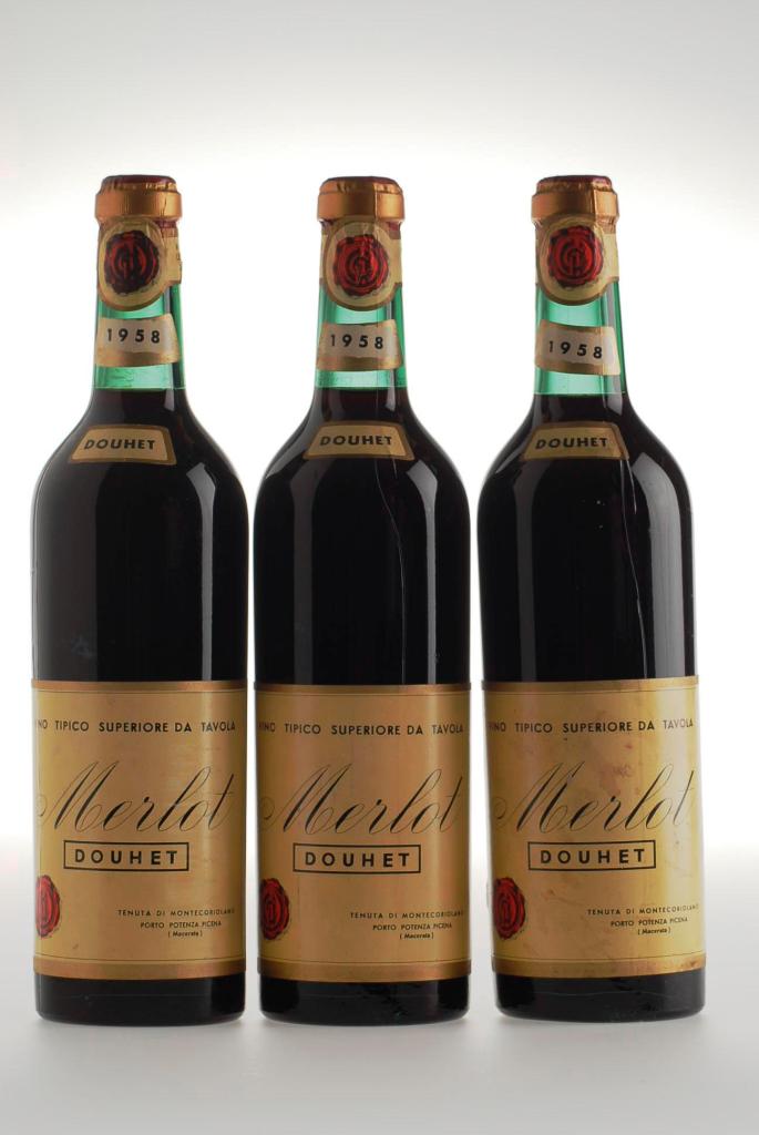 317. Merlot Douhet 1958